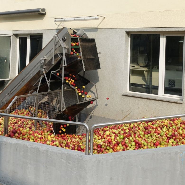 Saft-Ernte